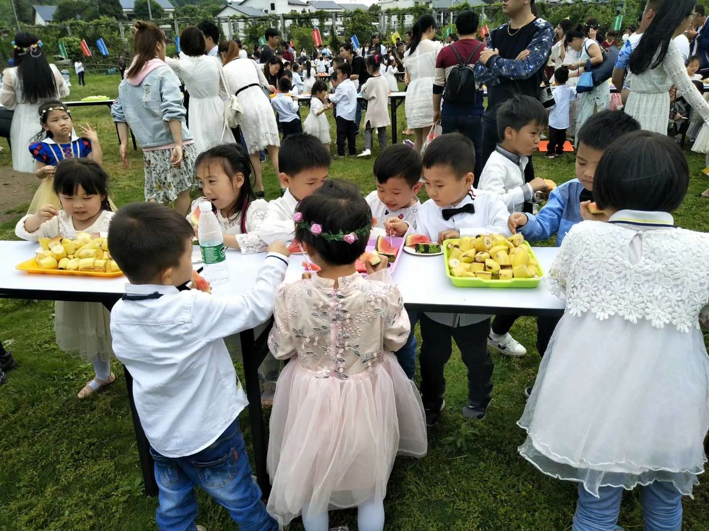 金豆豆幼兒園4 金豆豆幼兒園4