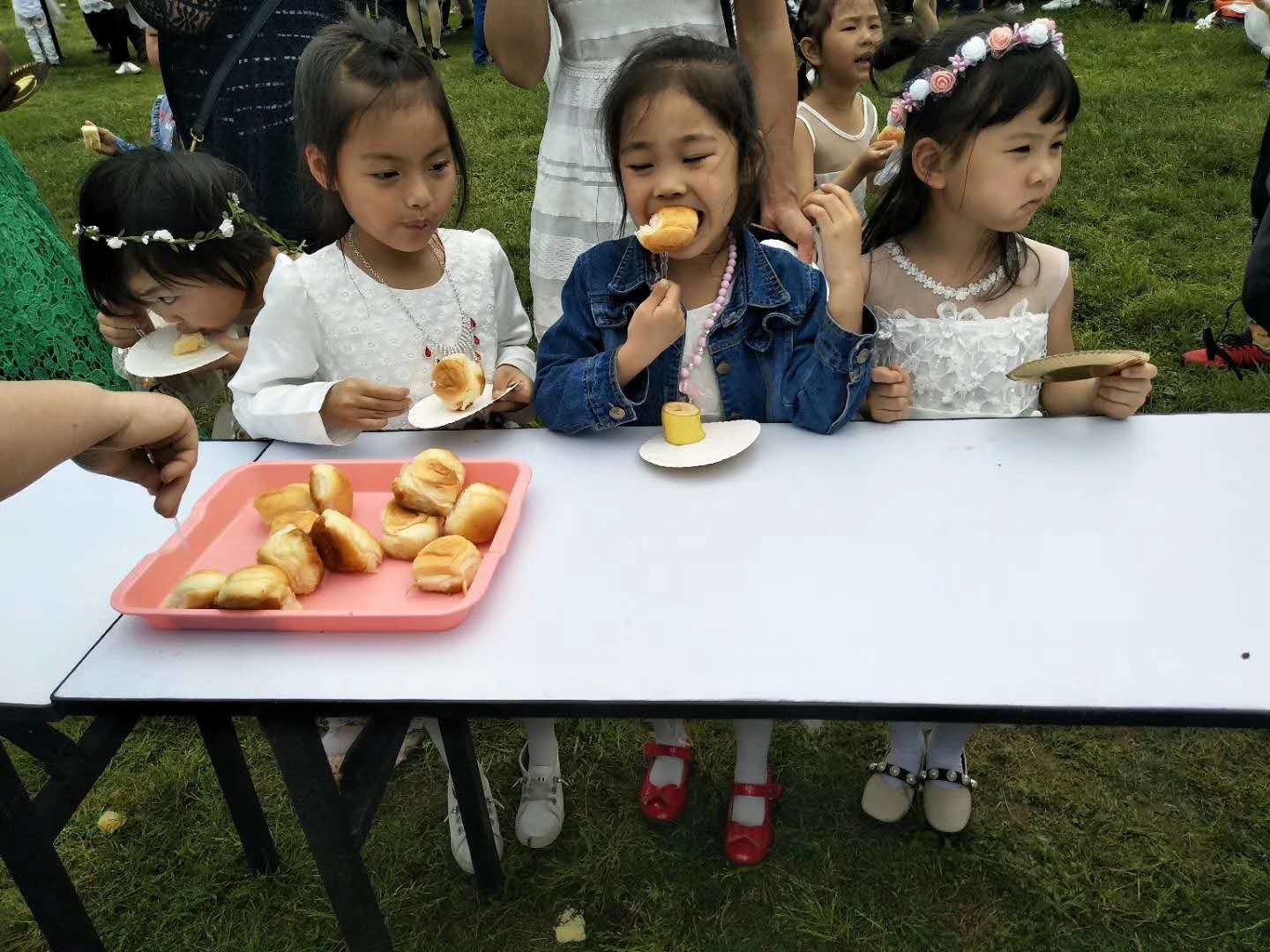金豆豆幼兒園5 金豆豆幼兒園5