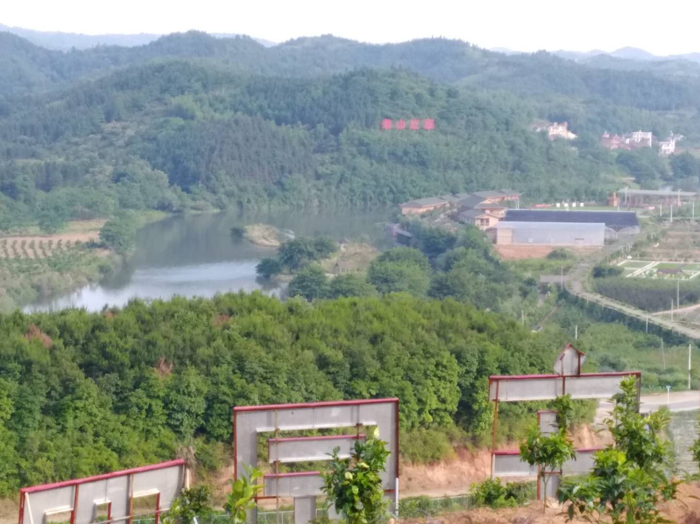 從果園遠眺莊園 從果園遠眺莊園